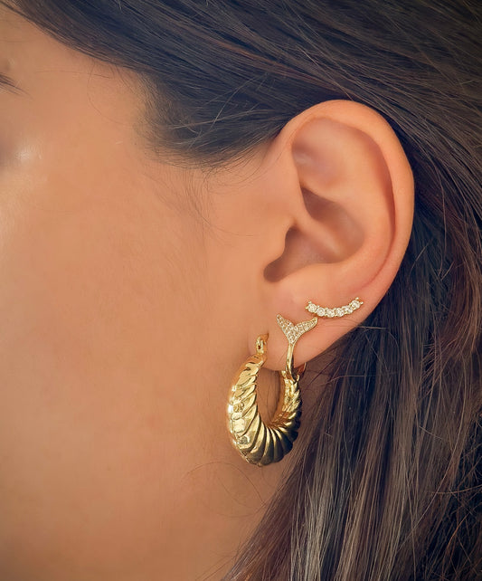 Lunaria - עגילים